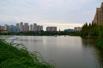 成都南湖风景