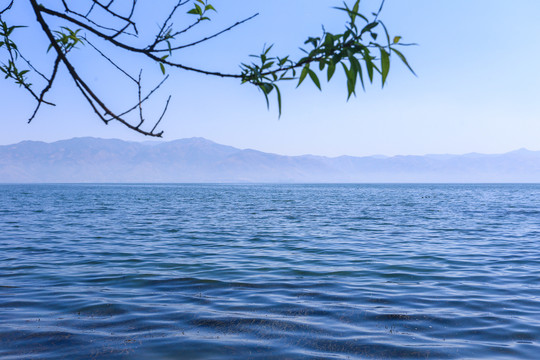 大理洱海