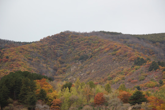 秋天五彩山