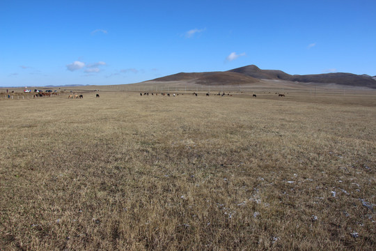 乌兰布统草原秋景