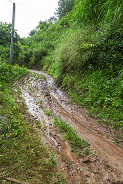 泥巴路