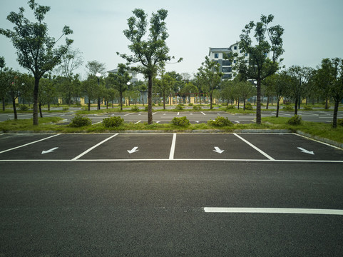 生态停车场