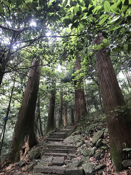 临安天目山