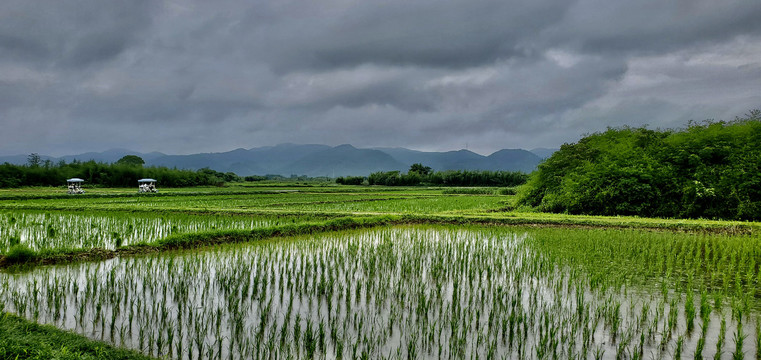 杭州良渚文化村