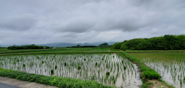 杭州良渚文化村