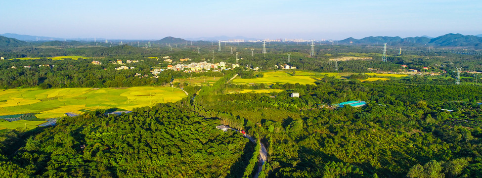 美丽风景