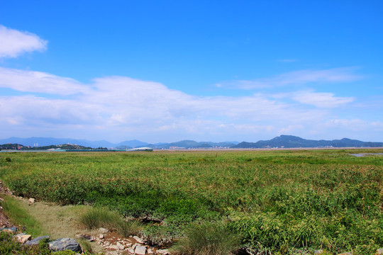 闽江口国家湿地公园