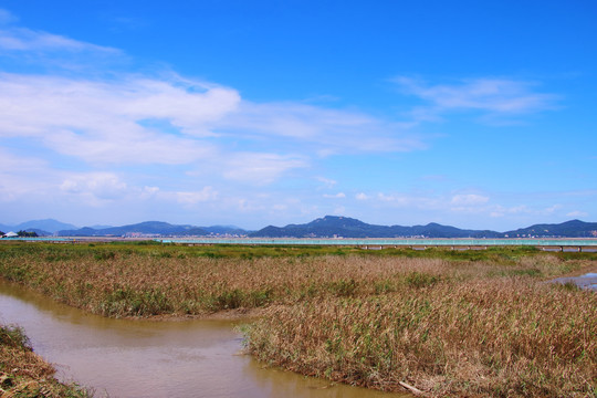 闽江口国家湿地公园