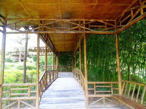 园林景观竹子走廊