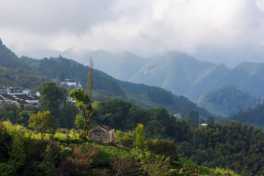 皖南山村坡山29