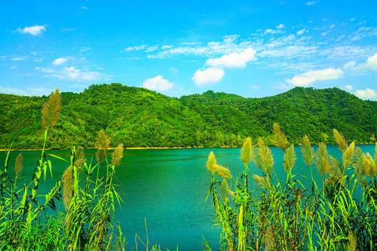 青山绿水