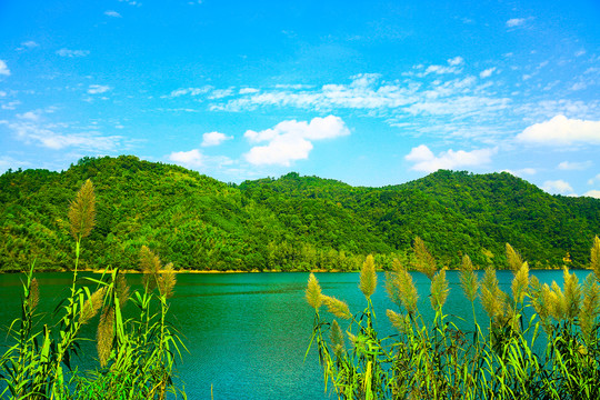 青山绿水