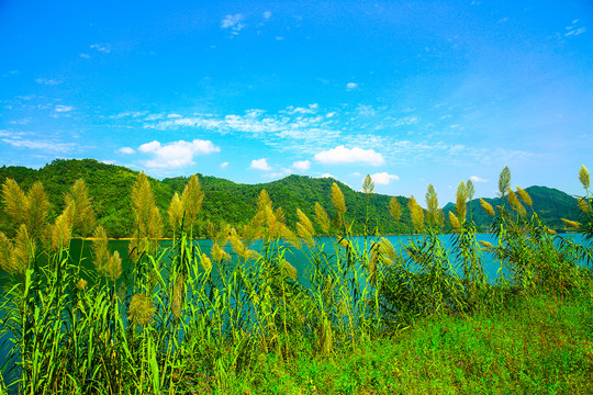 青山绿水