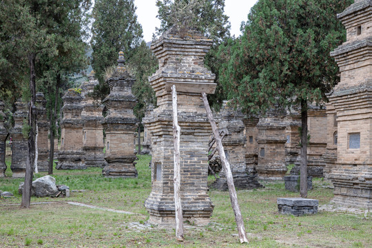 少林寺塔林