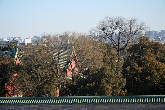 北京天坛公园