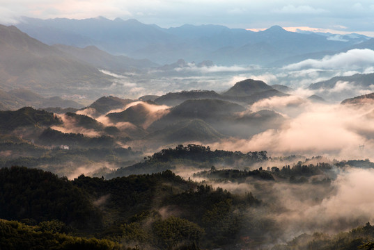 云雾满山飘