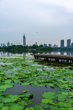 南京玄武湖