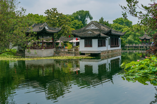 上海古猗园夏天