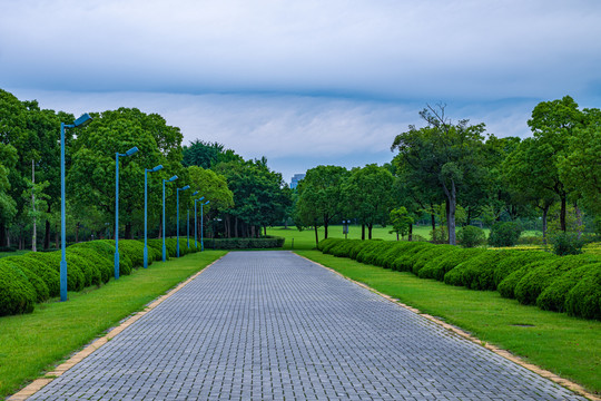 上海汽车博览公园夏天景观