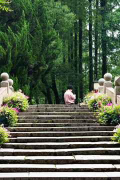 上海松江醉白池园林景观