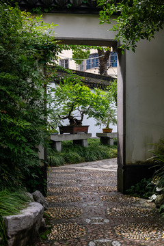 上海松江醉白池景观风光