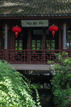 上海松江醉白池景观风光