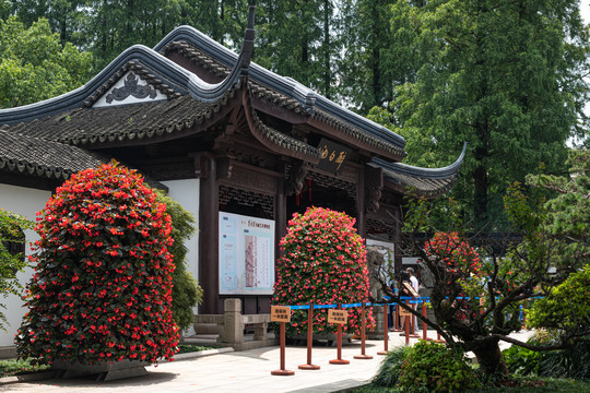 上海松江醉白池景观风光