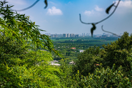 上海佘山国家森林公园景观风光