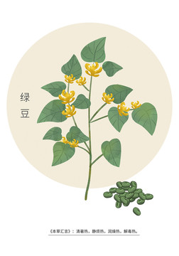 綠豆
