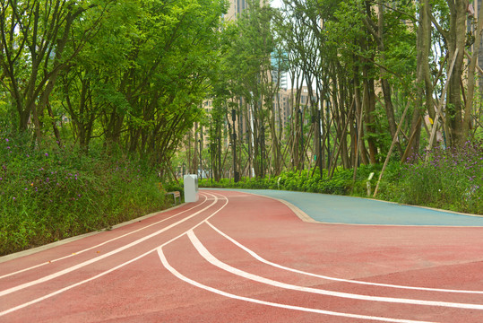 公园的彩色健身步道