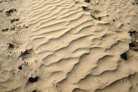 沙漠沙土地上的波浪纹理