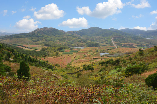 田园风光