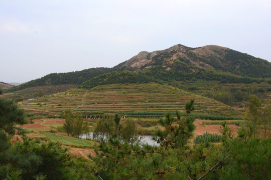 山区梯田