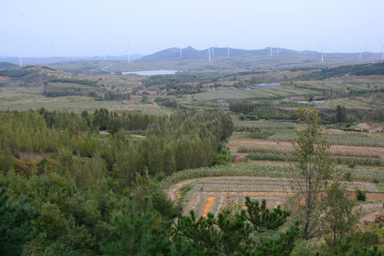 田野风光