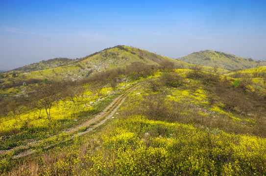 滁州丰山岭风光