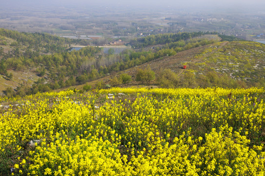 滁州丰山岭