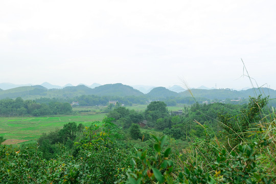 乡村田野