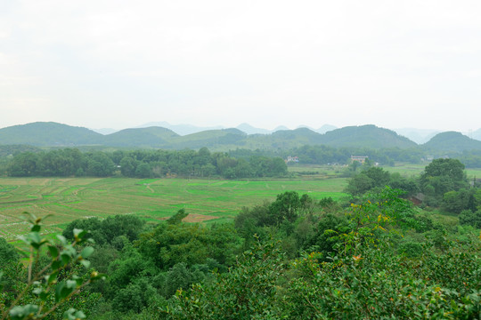 乡村田野