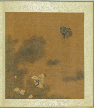 王淵寫(xiě)生蝴蝶花卉