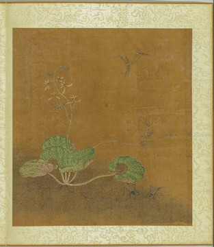 王淵寫(xiě)生花卉昆蟲(chóng)