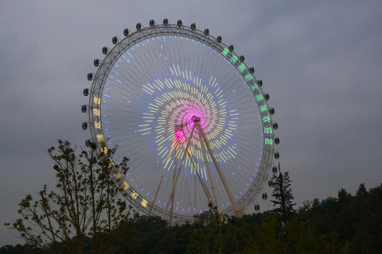 摩天轮夜景