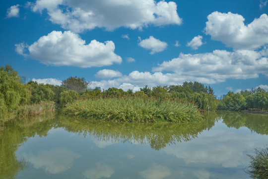 湿地公园