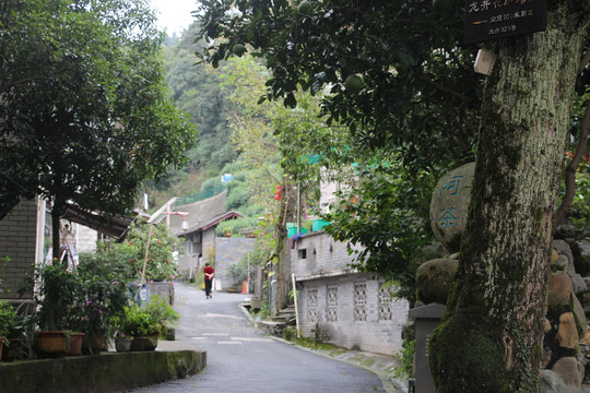 杭州龙井村