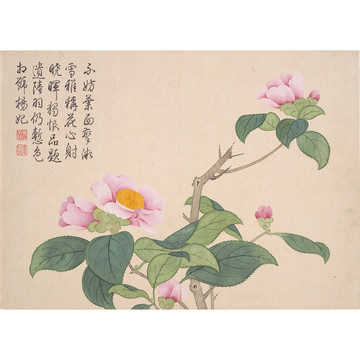 钱维城花卉国画