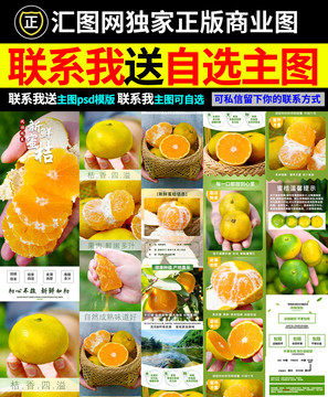 蜜桔詳情頁