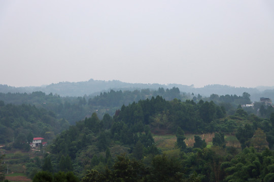 乡村风景