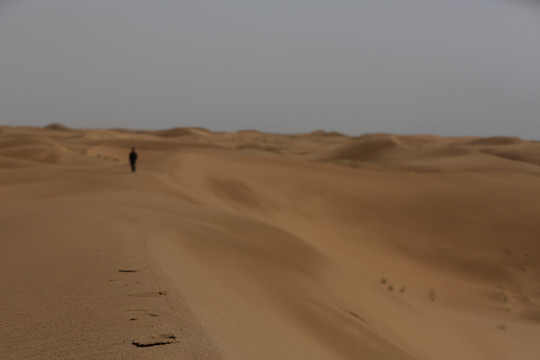 沙漠里的人影