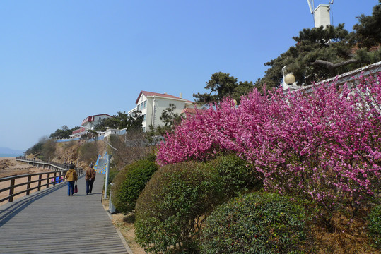 青岛海滨风光