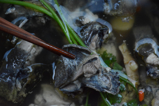 三乌鸡鸡汤