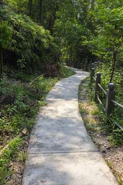 登山步道